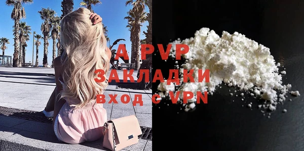 крисы Осинники