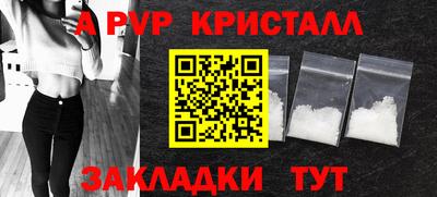 индика Гусев
