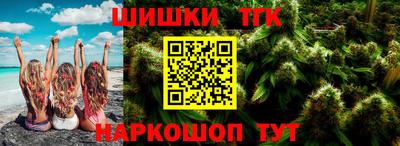 индика Гусев