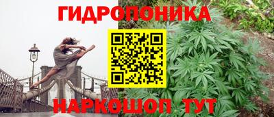 индика Гусев