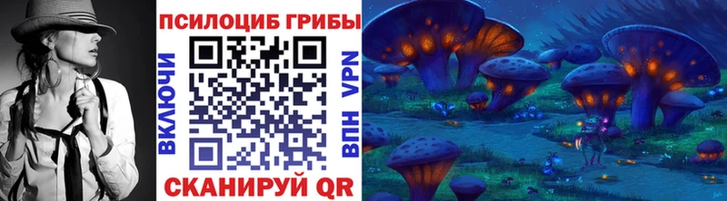 гидра сайт  Ртищево  Псилоцибиновые грибы MAGIC MUSHROOMS 