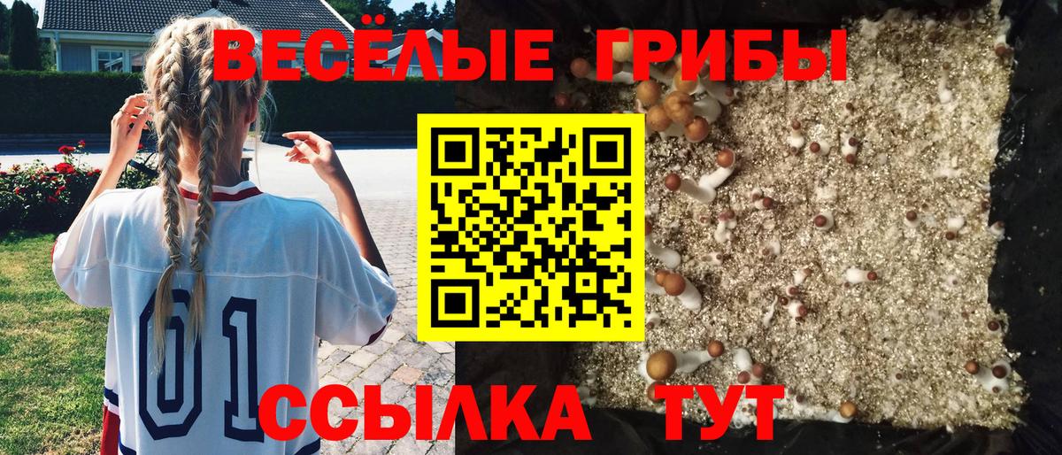 Псилоцибиновые грибы MAGIC MUSHROOMS  Вход с VPN  Ртищево 