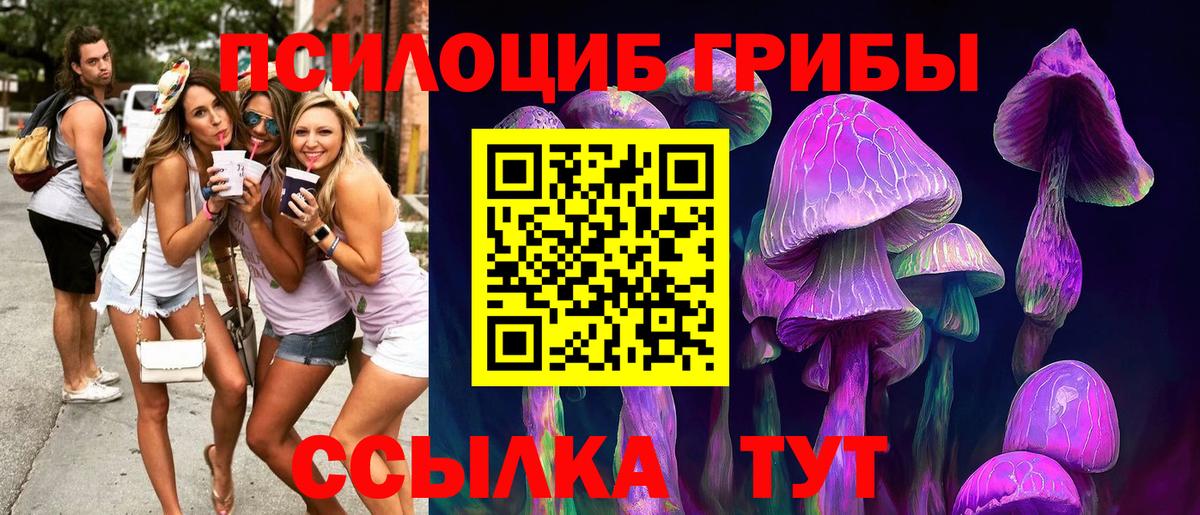 Псилоцибиновые грибы GOLDEN TEACHER Ртищево
